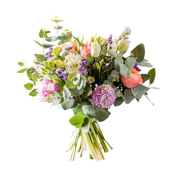 Bilder von Blumen freistellen